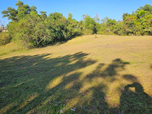 Load image into Gallery viewer, Affordable farm lot for sale clean title in Trinidad Bohol