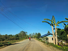Load image into Gallery viewer, Affordable farm lot for sale clean title in Trinidad Bohol