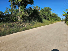 Load image into Gallery viewer, 4 Hectares Clean Title  near highway for Sale Trinidad Bohol Philippines