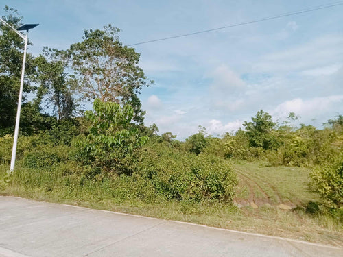 LOT FOR SALE IN BALILIHAN, BOHOL