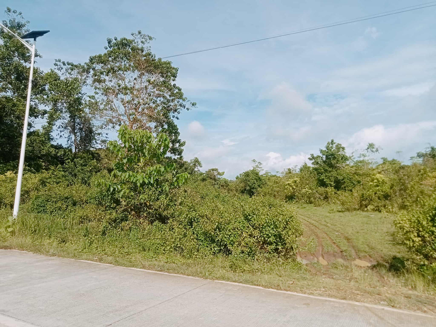 LOT FOR SALE IN BALILIHAN, BOHOL