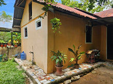 Load image into Gallery viewer, Peaceful farm property with residential house, farm house and coconut trees in Talibon Bohol