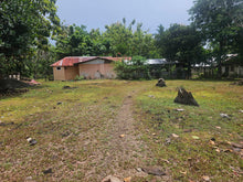 Load image into Gallery viewer, Peaceful farm property with residential house, farm house and coconut trees in Talibon Bohol