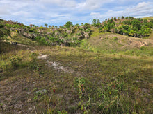Load image into Gallery viewer, 13 hectares/130,000 sqm titled property for sale in Rizal, Talibon Bohol Philippines 100 /Sqm