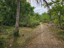 Load image into Gallery viewer, 10,000 sqm for sale overlooking along shoreline in Talibon Bohol