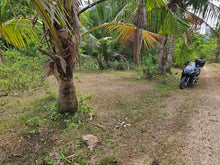 Load image into Gallery viewer, 10,000 sqm for sale overlooking along shoreline in Talibon Bohol