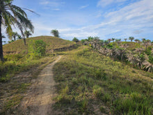 Load image into Gallery viewer, 13 hectares/130,000 sqm titled property for sale in Rizal, Talibon Bohol Philippines 100 /Sqm
