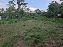 Load image into Gallery viewer, 70,558 sqm Clean Title flat land/Lot for Sale – Mahagbu, Trinidad, Bohol