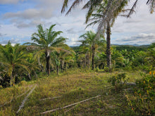Load image into Gallery viewer, 13 hectares/130,000 sqm titled property for sale in Rizal, Talibon Bohol Philippines 100 /Sqm