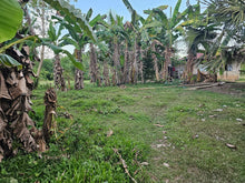 Load image into Gallery viewer, 70,558 sqm Clean Title flat land/Lot for Sale – Mahagbu, Trinidad, Bohol