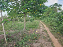 Load image into Gallery viewer, 70,558 sqm Clean Title flat land/Lot for Sale – Mahagbu, Trinidad, Bohol