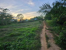 Load image into Gallery viewer, 70,558 sqm Clean Title flat land/Lot for Sale – Mahagbu, Trinidad, Bohol