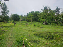 Load image into Gallery viewer, Affordable  Lot for sale Along River 8.8 has title in Trinidad Bohol 6.5m net