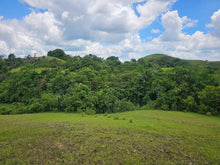 Load image into Gallery viewer, 20.6 has for sale Buenavista Bohol 35/sqm