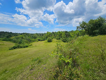 Load image into Gallery viewer, 20.6 has for sale Buenavista Bohol 35/sqm