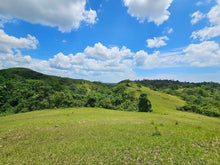 Load image into Gallery viewer, 20.6 has for sale Buenavista Bohol 35/sqm
