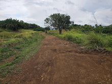 Load image into Gallery viewer, 4.1 hectares overlooking lot for sale in Dagohoy Bohol 60/sqm