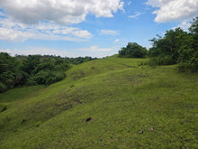 Load image into Gallery viewer, 20.6 has for sale Buenavista Bohol 35/sqm