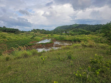 Load image into Gallery viewer, 4.1 hectares overlooking lot for sale in Dagohoy Bohol 60/sqm