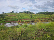 Load image into Gallery viewer, 4.1 hectares overlooking lot for sale in Dagohoy Bohol 60/sqm