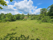 Load image into Gallery viewer, 20.6 has for sale Buenavista Bohol 35/sqm