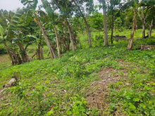 Load image into Gallery viewer, Affordable  Lot for sale Along River 8.8 has title in Trinidad Bohol 6.5m net