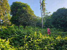 Load image into Gallery viewer, 5,990 sqm clean title for sale in Bosongon Tubigon Bohol Philippines