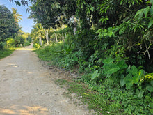 Load image into Gallery viewer, 5,990 sqm clean title for sale in Bosongon Tubigon Bohol Philippines