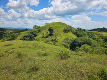 Load image into Gallery viewer, 20.6 has for sale Buenavista Bohol 35/sqm