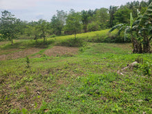 Load image into Gallery viewer, Affordable  Lot for sale Along River 8.8 has title in Trinidad Bohol 6.5m net