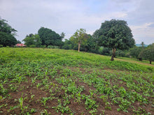 Load image into Gallery viewer, 1.3 hectares clean title overlooking lot for sale 1.5m net