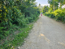 Load image into Gallery viewer, 5,990 sqm clean title for sale in Bosongon Tubigon Bohol Philippines