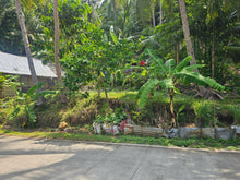 Load image into Gallery viewer, 1,322 sqm for sale along Provincial Road in Anda Bohol Philippines 1,000,000 only