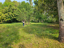 Load image into Gallery viewer, 2,238 sqm clean title for sale walking distance to white sand beaches in Anda Bohol