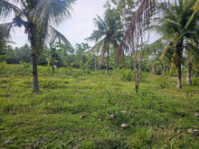 Load image into Gallery viewer, Affordable 4,400 sqm clean title for sale very close from highway in Dauis Panglao Island, Bohol Philippines