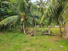 Load image into Gallery viewer, 2,238 sqm clean title for sale walking distance to white sand beaches in Anda Bohol