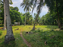 Load image into Gallery viewer, 2,238 sqm clean title for sale walking distance to white sand beaches in Anda Bohol