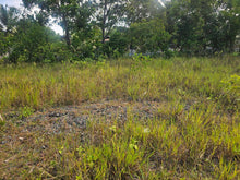 Load image into Gallery viewer, Affordable 4,400 sqm clean title for sale very close from highway in Dauis Panglao Island, Bohol Philippines