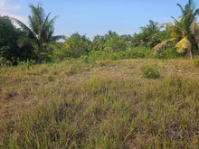 Load image into Gallery viewer, Affordable 4,400 sqm clean title for sale very close from highway in Dauis Panglao Island, Bohol Philippines