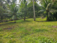 Load image into Gallery viewer, Affordable 4,400 sqm clean title for sale very close from highway in Dauis Panglao Island, Bohol Philippines