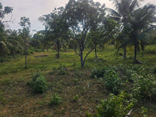 Load image into Gallery viewer, Affordable 4,400 sqm clean title for sale very close from highway in Dauis Panglao Island, Bohol Philippines