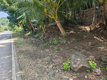 Load image into Gallery viewer, 1,322 sqm for sale along Provincial Road in Anda Bohol Philippines 1,000,000 only