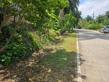 Load image into Gallery viewer, 1,322 sqm for sale along Provincial Road in Anda Bohol Philippines 1,000,000 only