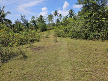 Load image into Gallery viewer, 8,965 sqm clean title for sale in Catigbian Bohol Philippines 1m only