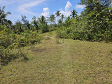 Load image into Gallery viewer, 8,965 sqm clean title for sale in Catigbian Bohol Philippines 1m only