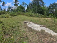 Load image into Gallery viewer, 8,965 sqm clean title for sale in Catigbian Bohol Philippines 1m only