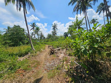 Load image into Gallery viewer, 1.3 hectares clean title for sale near highway, Police station and hospital in Poblacion Catigbian Bohol 2.5m