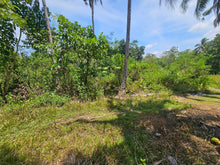 Load image into Gallery viewer, 1.3 hectares clean title for sale near highway, Police station and hospital in Poblacion Catigbian Bohol 2.5m