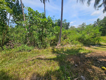 Load image into Gallery viewer, 1.3 hectares clean title for sale near highway, Police station and hospital in Poblacion Catigbian Bohol 2.5m