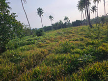 Load image into Gallery viewer, 4 hectares clean title for sale in Buenavista Carmen Bohol